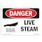 Signmission Safety Sign, OSHA Danger, 7" Height, Aluminum, Live Steam, Landscape OS-DS-A-710-L-1424 - alternate 1